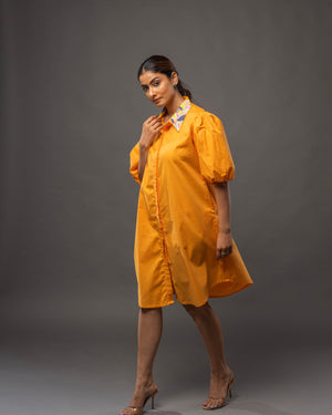 Tangerine Collar Dress | Tangerine Cotton Dress | Rivoshia